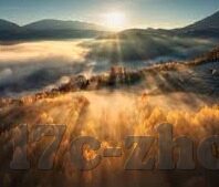 97免费的成人手机视频在线观看-探索成人娱乐的数字边界，97免费成人手机视频的多元视角