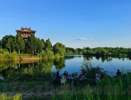 大象传媒2022最新网站-大象传媒2022，重塑数字媒体新篇章