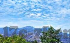 大象传媒麻豆天美网站-探索网络文化的多元视角，大象传媒与麻豆天美网站现象分析