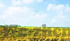 麻豆传媒官网-麻豆传媒官网——窥视现代数字娱乐的多元化窗口