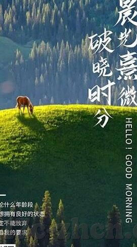 糖心vlog小桃酱-糖心vlog小桃酱，探寻生活的小确幸